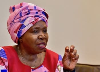 Covid-19: Dlamini-Zuma faces challenge over threat to lock-up infected people