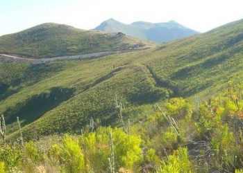 Controversial Watsons’ wind farm approval overturned on review