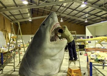 Making a megalodon: The size of the largest ever killer shark
