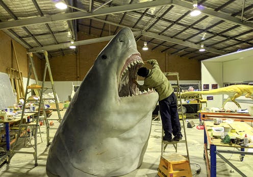 Making a megalodon: The size of the largest ever killer shark