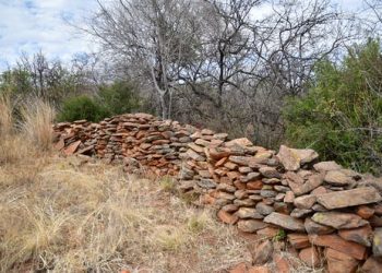 A forgotten settlement in the Cradle of Humankind
