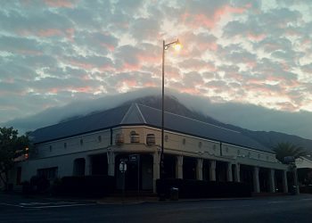 Another fine-dining restaurant, Foliage, lost to the pandemic