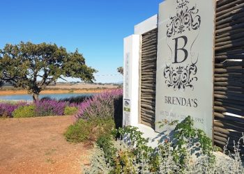 Here's why Paarl is the pearl destination of South Africa