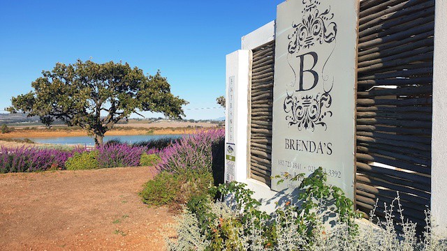 Here's why Paarl is the pearl destination of South Africa
