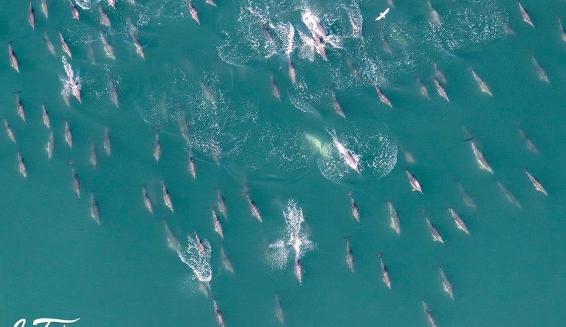 A bird's eye view of Cape Town by marine photographer