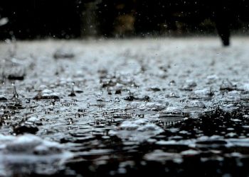 First snowfall expected in the Eastern Cape over the weekend