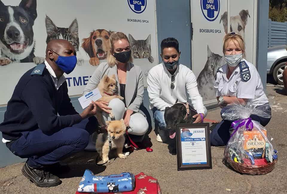 Jessie the Staffie gets 'Animal Hero Award' for saving drowning dog