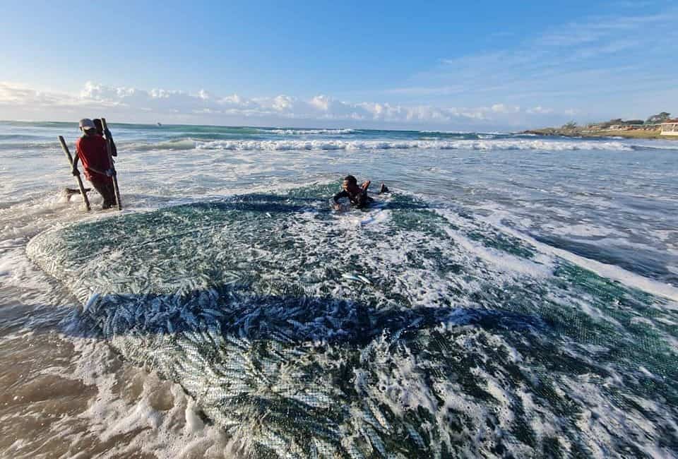 Princess Charlene’s foundation lends support to rhino conservation