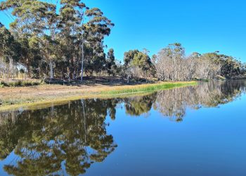 Stanford: A mosaic of sea, mountains and fresh air