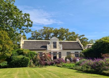 Vergelegen: Where history resides in the shadow of the camphor trees