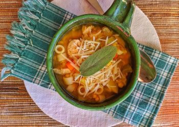 chicken noodle soup