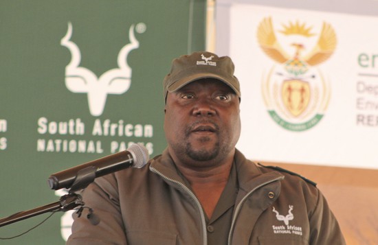 SANParks CEO on 'special leave' amid sexual assault allegations
