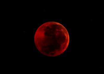 Super Flower Blood Moon