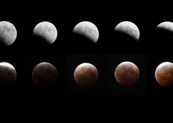 PICTURES: Super Flower Blood moon wows viewers