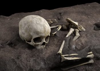 A 78,000-year-old human burial site in Africa provides exciting evidence