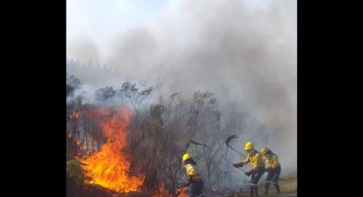 Tsitsikamma fire still blazing two days later