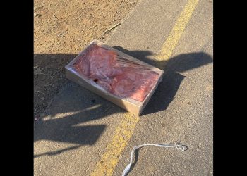 KZN public warned not to consume contaminated meat