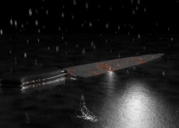 Help Animal Welfare Society catch Manenberg serial cat killer