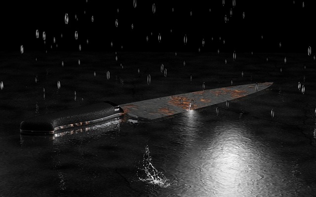 Help Animal Welfare Society catch Manenberg serial cat killer