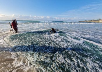 The Sardine Run is officially over for 2021