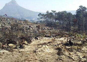 Deer Park section of Table Mountain reopens after devastating fire