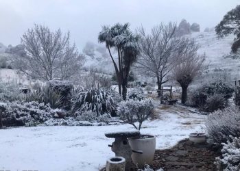 Mountains covered in snow in the Eastern Cape, motorists cautioned