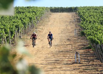 Stellenbosch pulls out all the stops for great outdoors festival