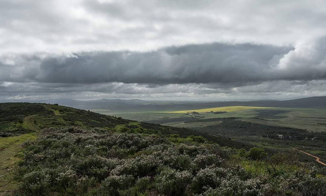 Blaauwberg Nature Reserve to be preserved under heritage status
