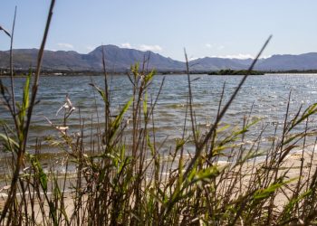 6000 people sign petition demanding City comes clean on water quality