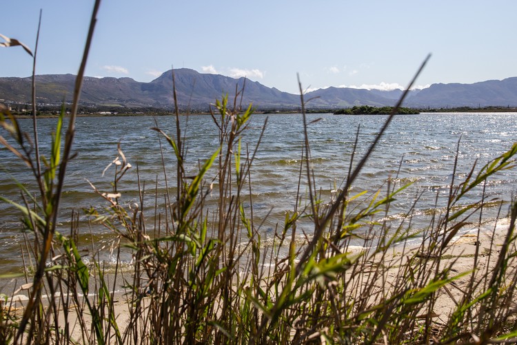 6000 people sign petition demanding City comes clean on water quality