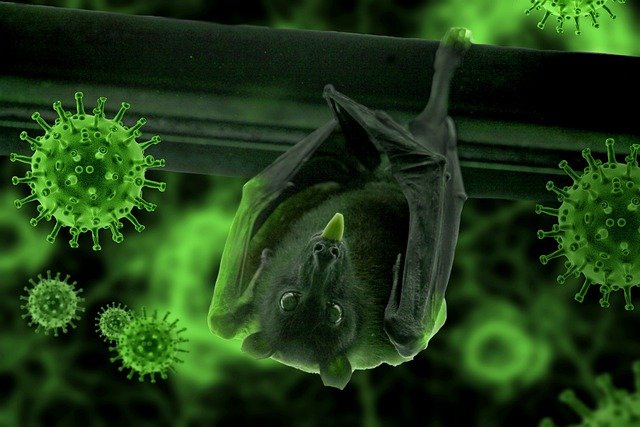 Evidence shows coronavirus jumped from animals to humans many times