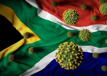 What SA health experts know about a new lineage of SARS-CoV-2