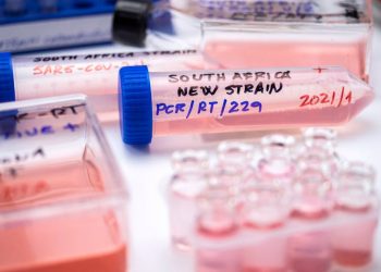 COVID-19: It’s time to look at the finer details of SA’s pandemic picture