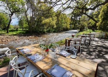 Diners in for a memorable splash at River Café