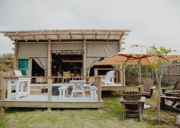 New glamping sites open at Grootvadersbosch Nature Reserve