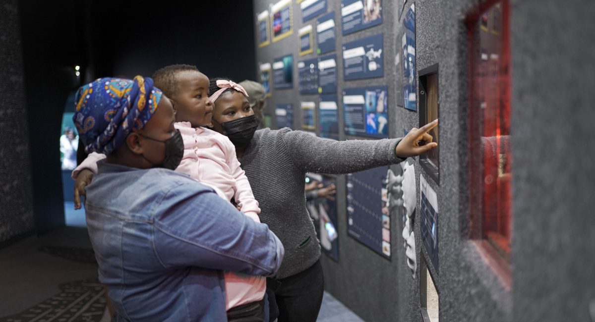 ‘Shark Alley’ opens at Two Oceans Aquarium