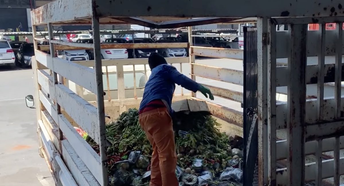 How chefs are turning wasted food into nutritious meals